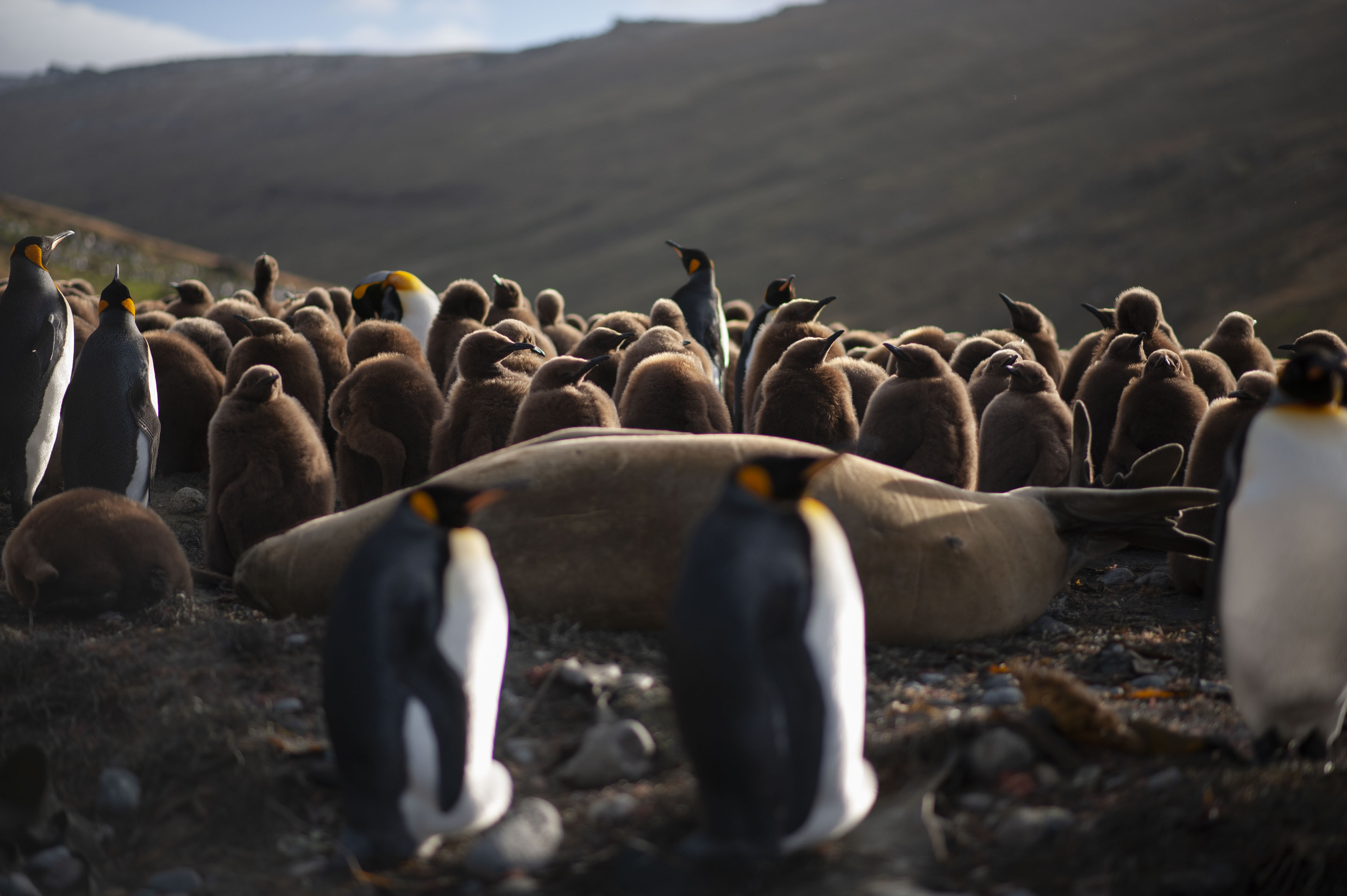 GYT 20220701 134232  DSC6247